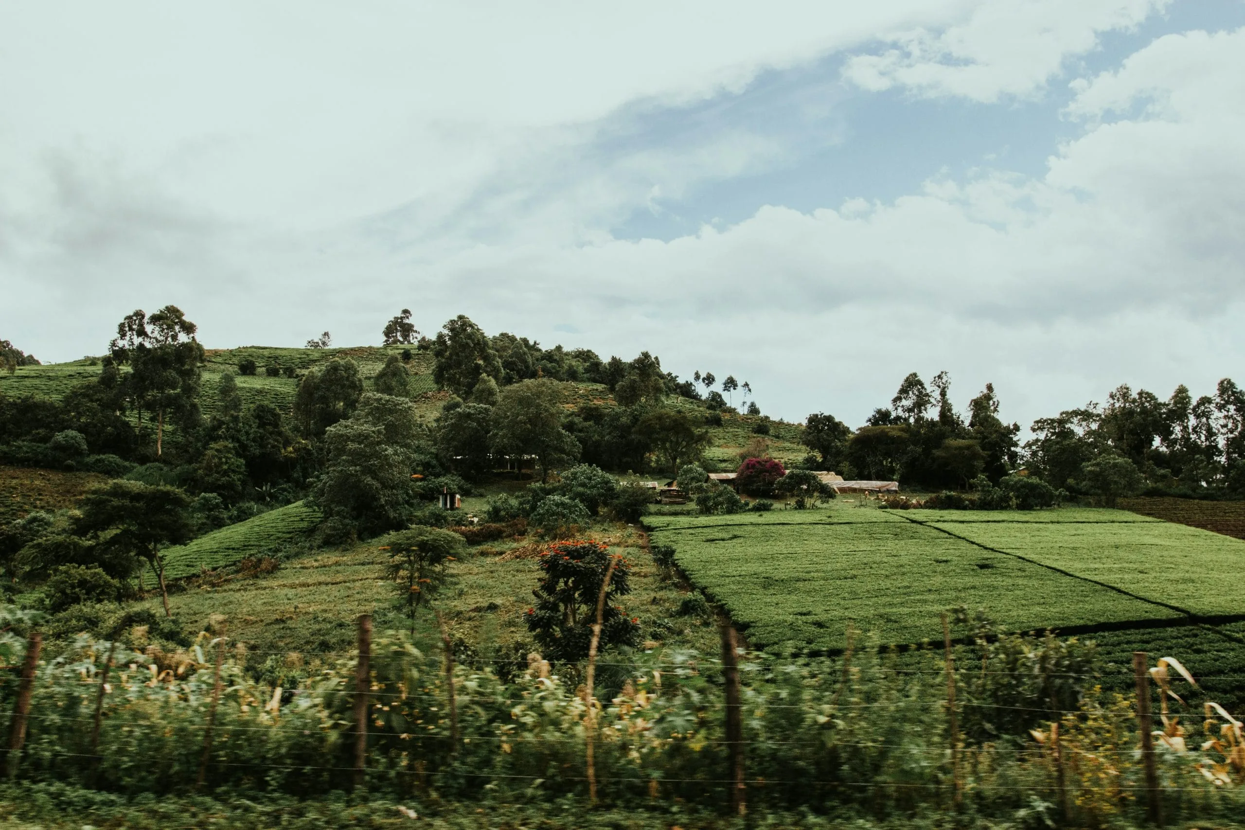 Grateful for Rain, Health, and Hearts Open to the Gospel